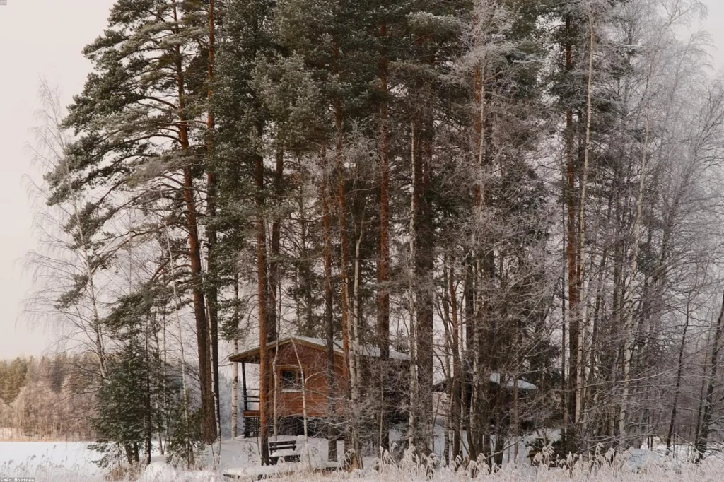 Ferienhaus mit Seeblick am Bodensee